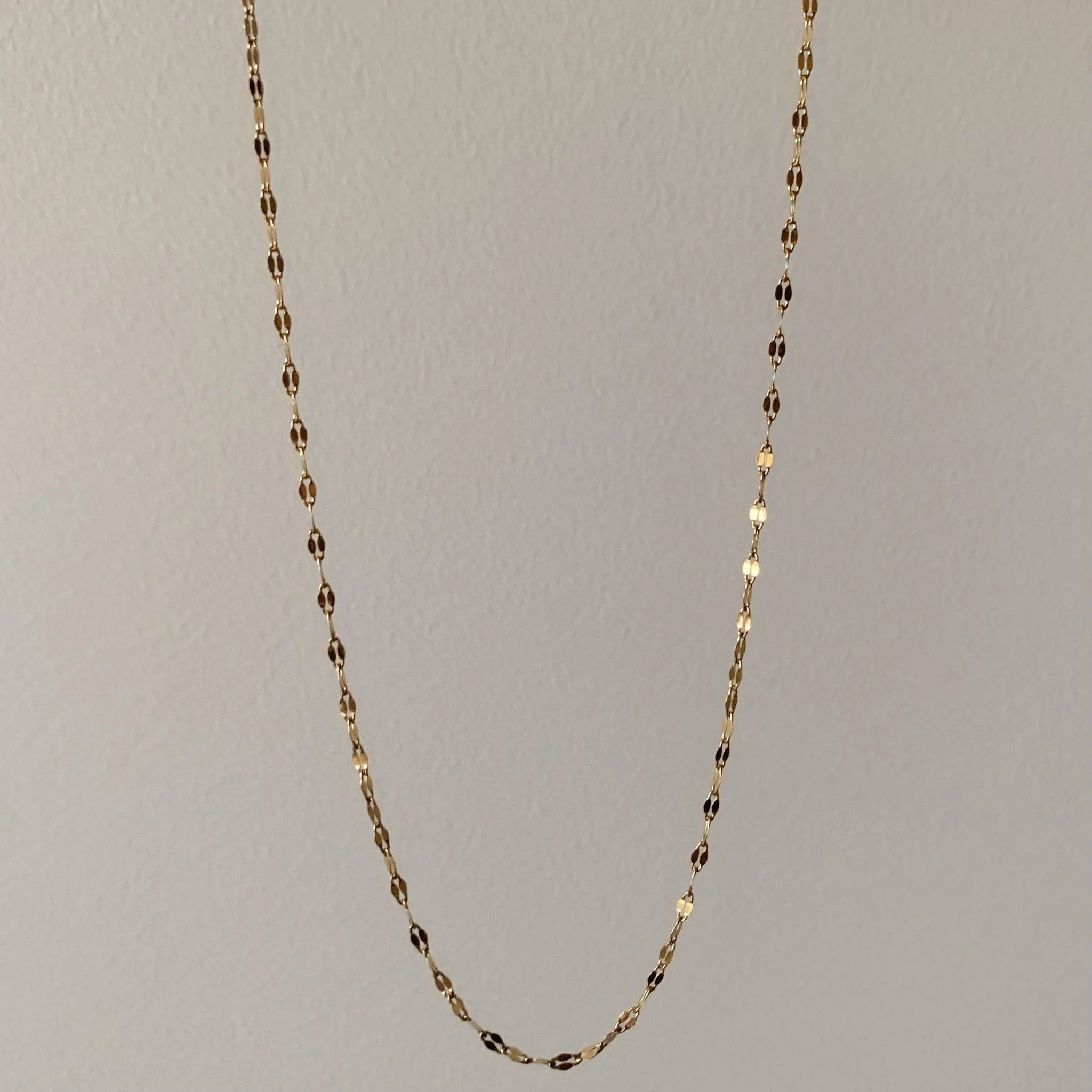 Dainty Chain Choker Necklace