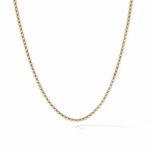 David Yurman The Chain Collection Necklaces & Pendant in 18-Karat Yellow Gold