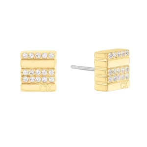 Ladies' Earrings Calvin Klein 35000371