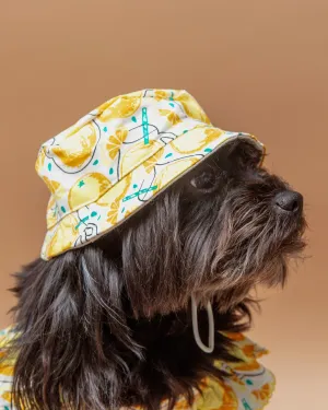 Lemonade Bucket Hat for Dogs << FINAL SALE >>